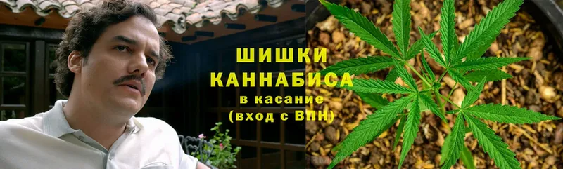 blacksprut зеркало  нарко площадка телеграм  Бошки марихуана OG Kush  наркота  Вяземский 